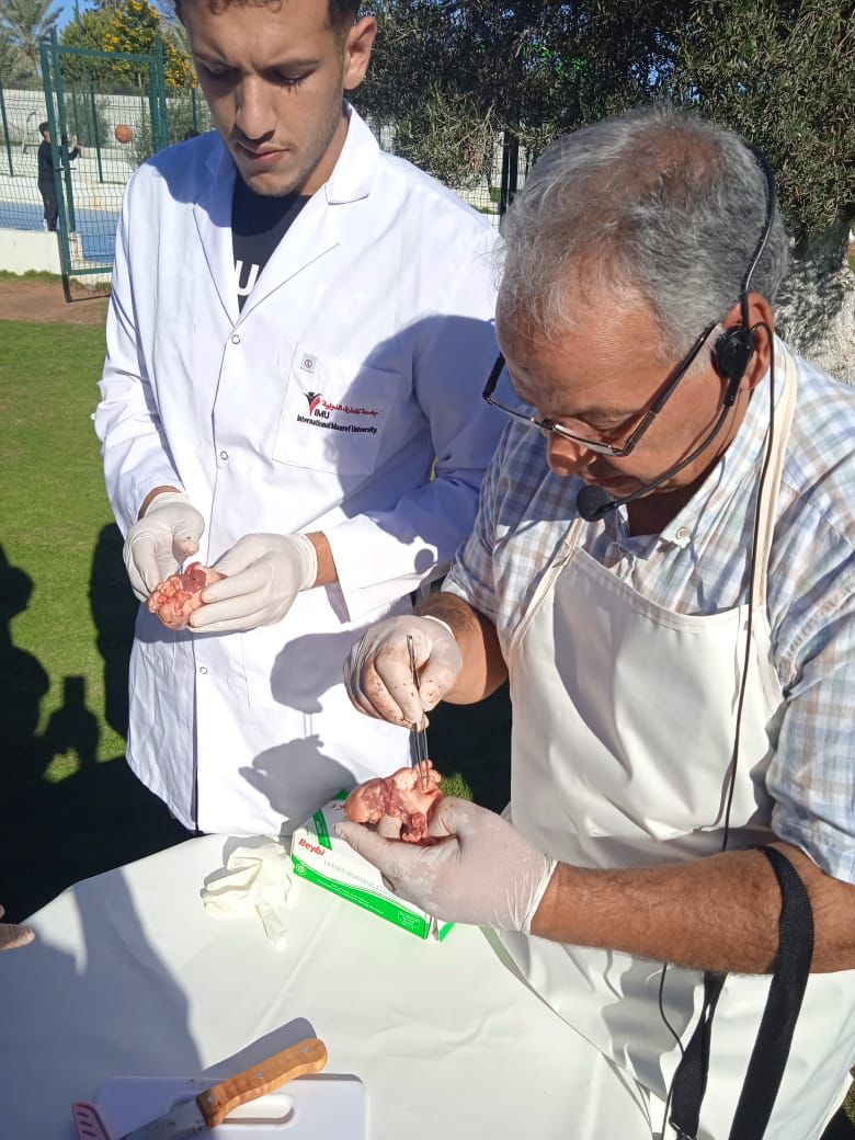 Students of the College of Medicine at the university went on an entertaining trip that included some practical scientific explanations led by Professor Dr. Nouraldin Aribi.